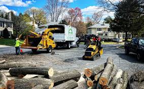 Best Sod Installation  in Villas, NJ