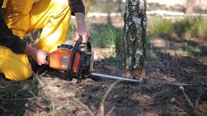 Best Soil Testing and Treatment  in Villas, NJ